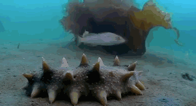 327feaf677a368888f616374a1b9f04f.gif