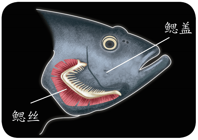bc2d06ec067676415d91c1de5a9f29a8.png