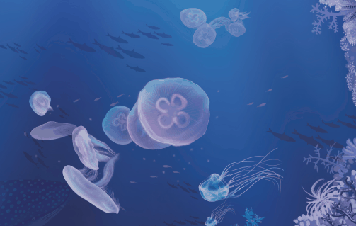 4e920693ffbba68bf947dee409a6036a.png