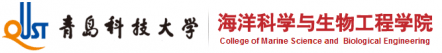 logo12.png