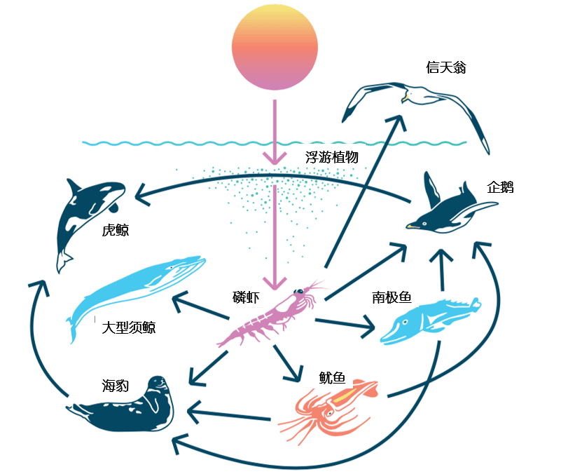 f97f720e4bac8e5d9fa8bbe2711c3f31.png