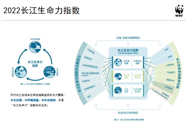 G78zDo6368QD3660.jpg