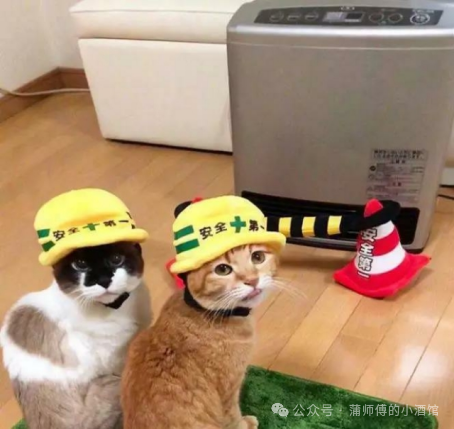 67a0a965f21f686712b7bb90c2c75f31.png