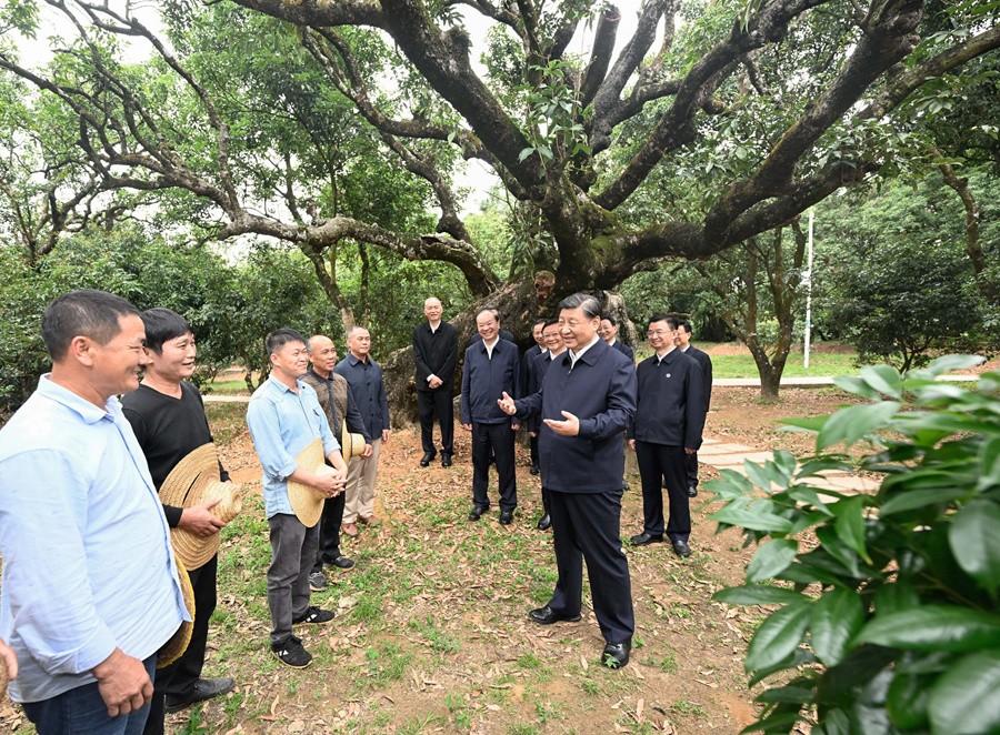“在推进中国式现代化建设中走在前列”——习近平总书记考察广东纪实 FwhTWNnWsAn2Ww73jpg