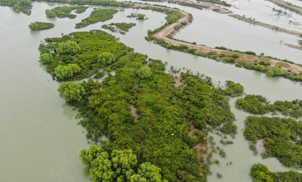 “在推进中国式现代化建设中走在前列”——习近平总书记考察广东纪实 rVpPxZTXl4J6zIvqjpg