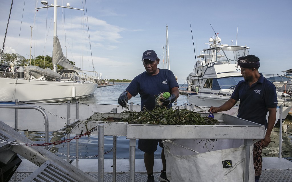图说｜塑战速决？塑料垃圾正在污染生态系统，人类如何应对 tqIp6Gh41Zw9Ze4Wjpg