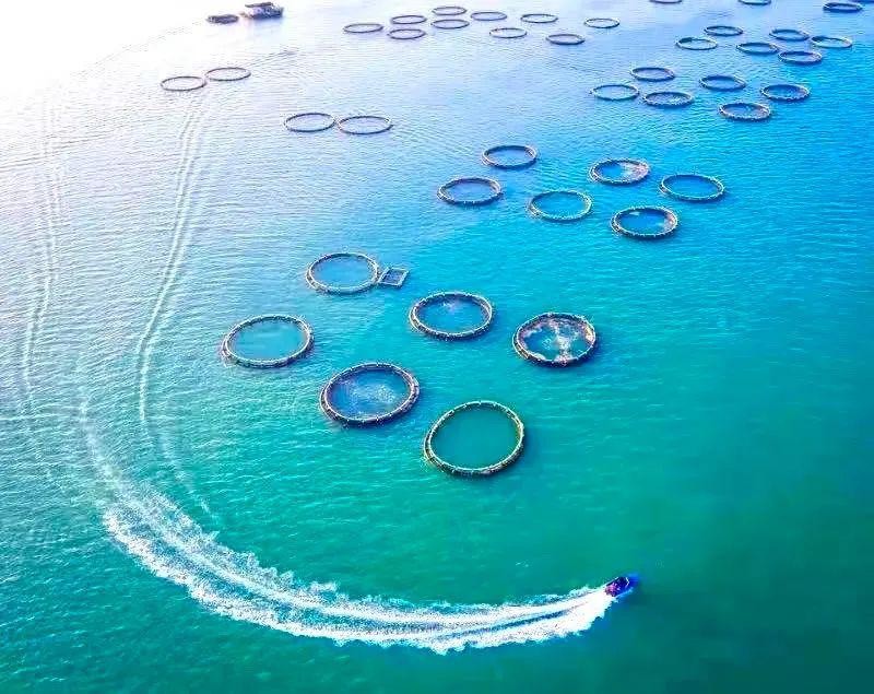 湛江这个满满科技感的“巨无霸”投用！现代化海洋牧场活动月启动 mHq4z7jqoQ7nf0Nxjpg